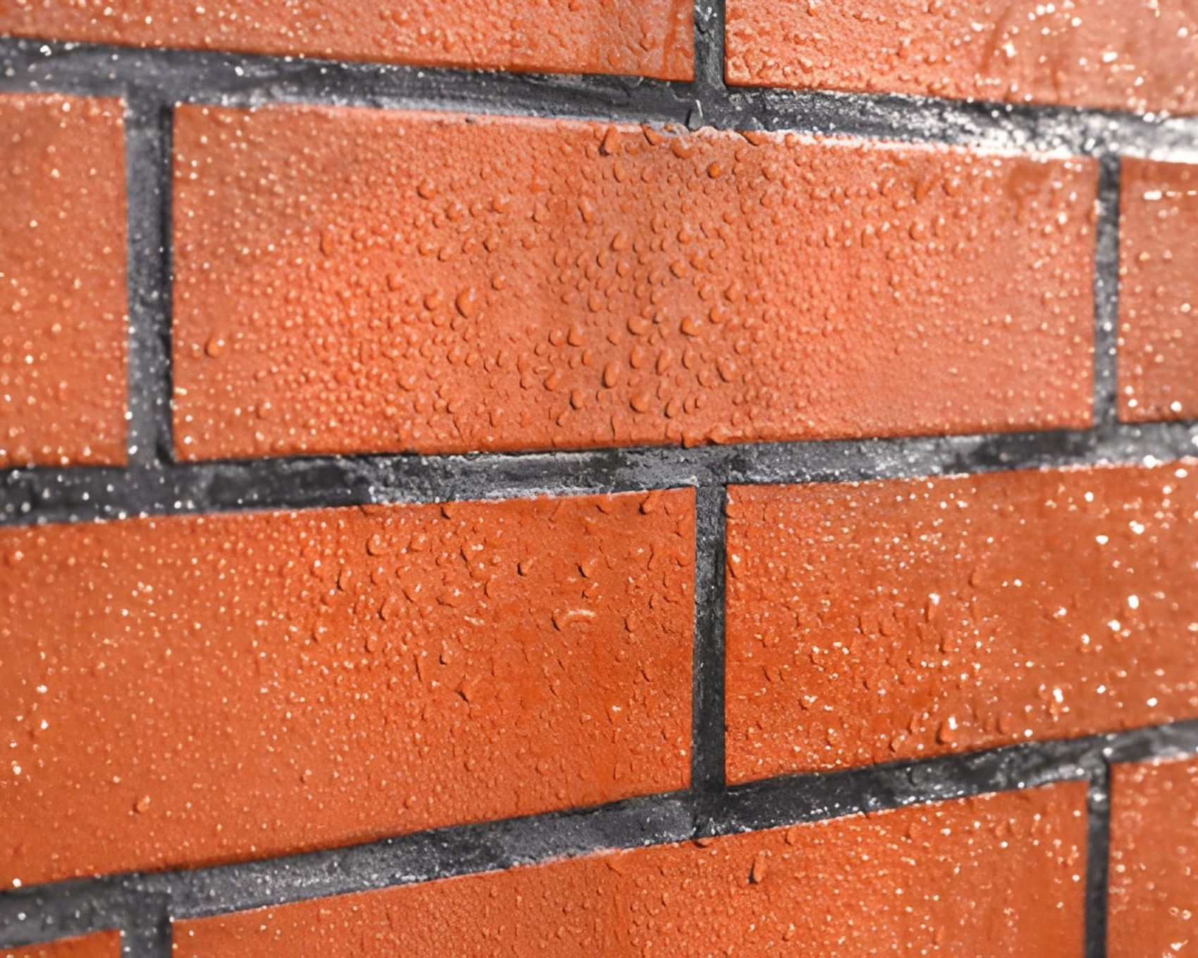 steptodown.com133531